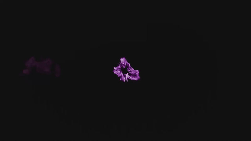 Poison Pie Skull Wax Melts